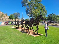 Carandotta Horses