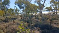 Lookout Lake Moondarra
