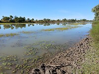 Georgina River