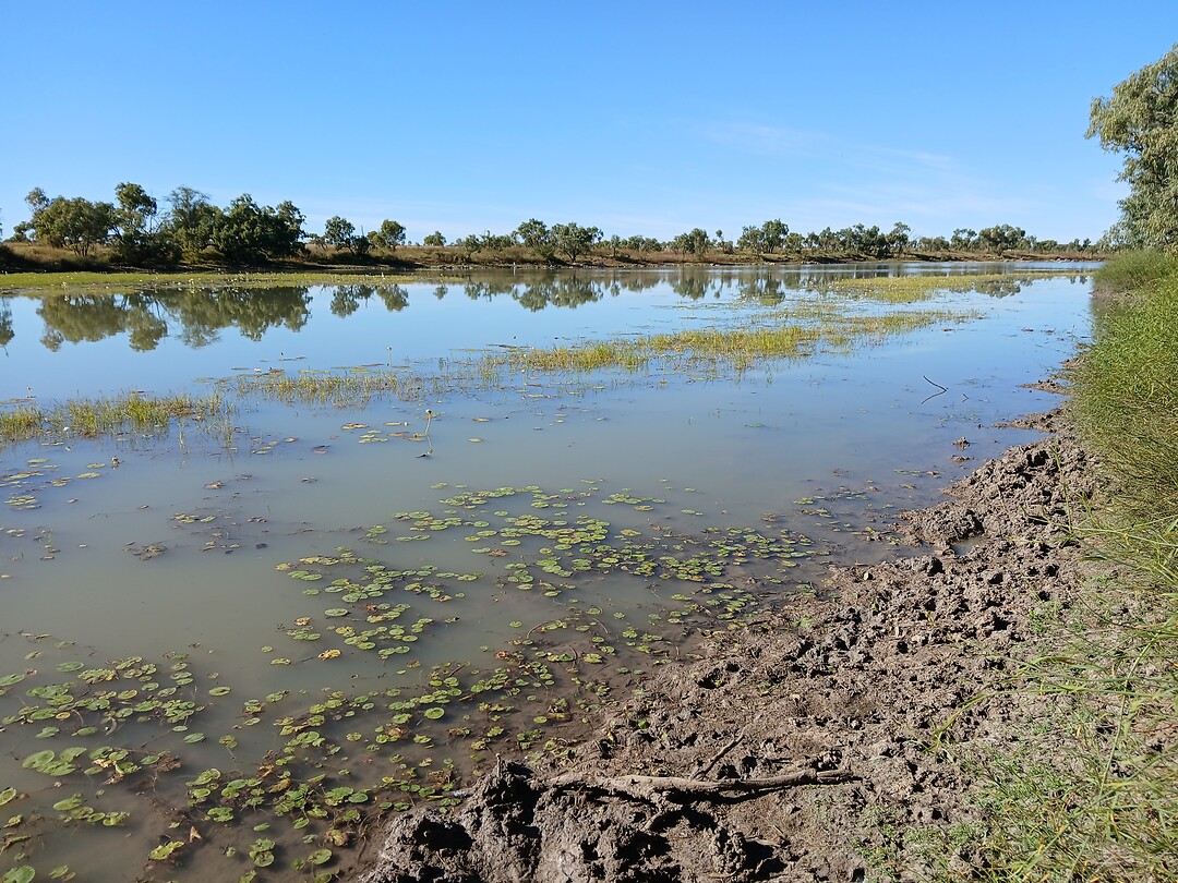 Georgina River