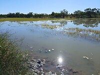 Georgina River
