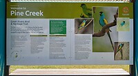 Info Pine Creek