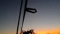 Muggen willen ons leegzuigen tijdens zonsondergang