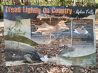 Tread Lightly On Country - Robin Falls