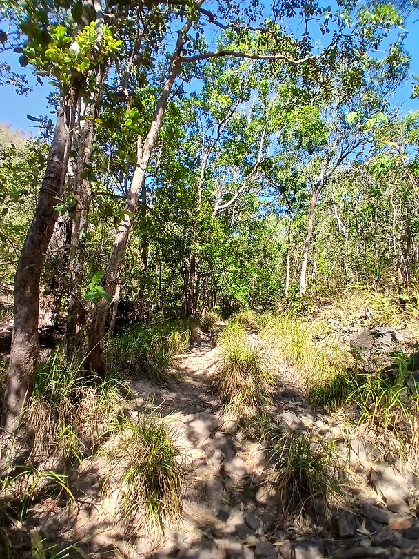Het wandelpad naar de Robin Falls