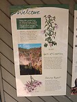 Info Tolmer Falls and Tabletop Range