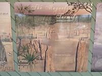 Info Magnet Termites