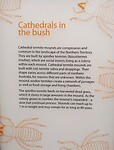 Cathedrals in the bush