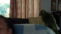 Marlin is happy to see me back!