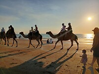 Camelenrit voor kindjes