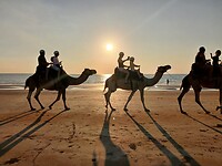 Camelenrit voor kindjes