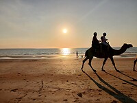 Camelnrit op Mindil Beach