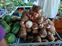 Taro Root (Aziatische wortelknol) Palmerston Market