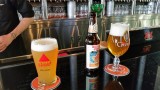 Holland House aan het bier