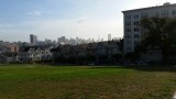 Alamo square