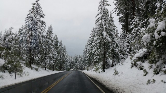 sneeuw