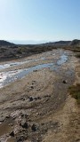Salt creek