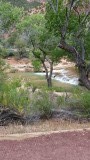 uitzicht Pa'rus trail