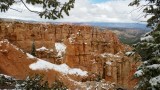 Black birch canyon