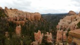 Swamp canyon
