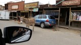 Oatman