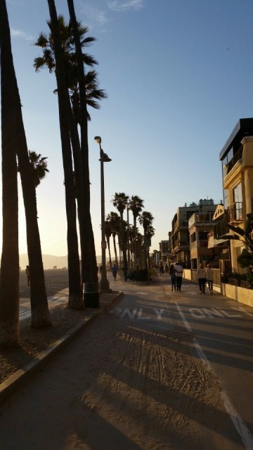 venice beach
