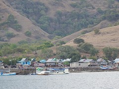 kleurrijk