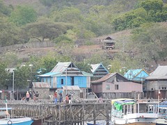 komodo eiland