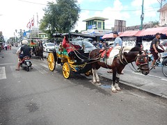 met paard en wagen