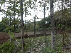 land omploegen