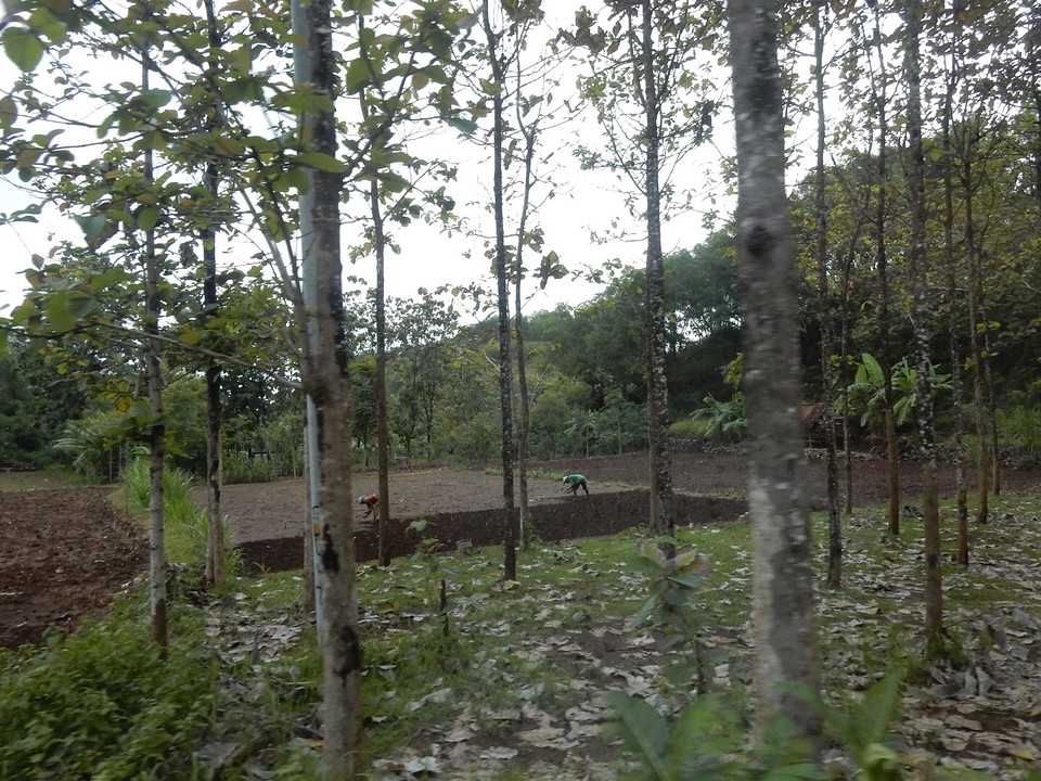 land omploegen