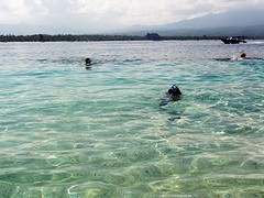 snorkelen