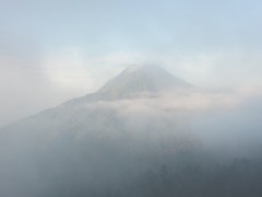 smog