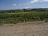 141015 CfL3 Debre Berhan