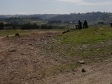 DSC00275-1