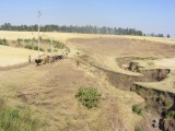DSCF0063-002