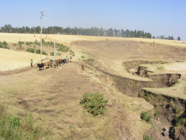 DSCF0063-002