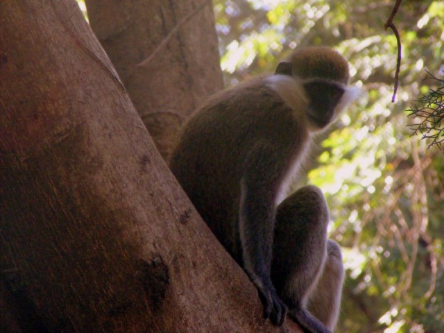DSCF0073-002