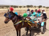 Paardenwagen