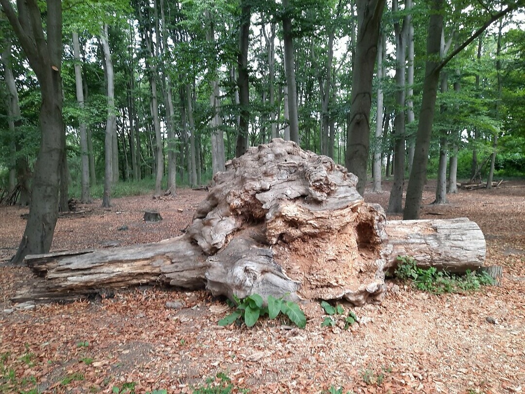 Heerlen, Nederland.