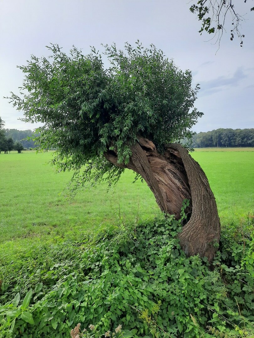 Doetinchem, Nederland.