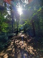 Krombeke, België.