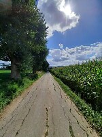Westouter, België.