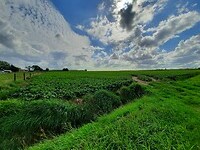 Wijtschate, België.
