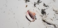 20191021_114233
