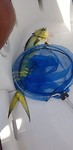 20191026_130522
