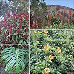 Botanische tuinen