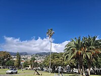 Park