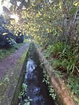 Levada