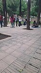 Dansjes in het park